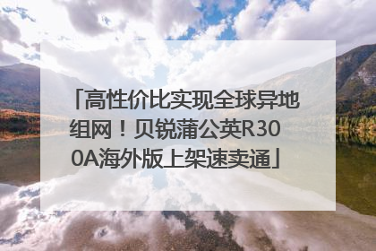 高性价比实现全球异地组网！贝锐蒲公英R300A海外版上架速卖通
