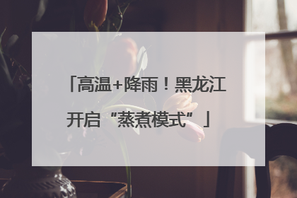 高温+降雨！黑龙江开启“蒸煮模式”