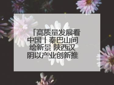 高质量发展看中国丨秦巴山间绘新景 陕西汉阴以产业创新推进高质量发展