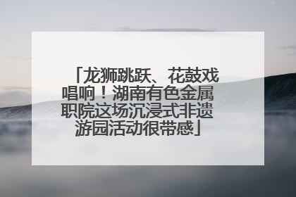 龙狮跳跃、花鼓戏唱响！湖南有色金属职院这场沉浸式非遗游园活动很带感