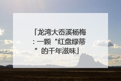 龙湾大岙溪杨梅：一颗“红盘绿蒂”的千年滋味
