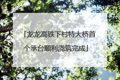 龙龙高铁下村特大桥首个承台顺利浇筑完成
