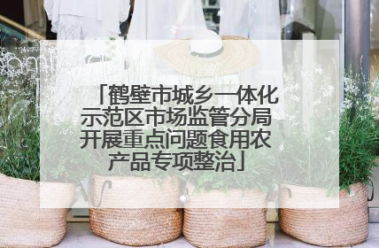 鹤壁市城乡一体化示范区市场监管分局开展重点问题食用农产品专项整治