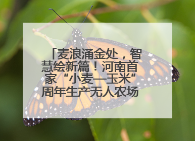 麦浪涌金处，智慧绘新篇！河南首家“小麦—玉米”周年生产无人农场喜迎丰收