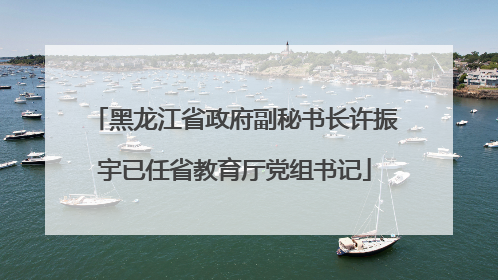 黑龙江省政府副秘书长许振宇已任省教育厅党组书记