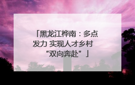 黑龙江桦南：多点发力 实现人才乡村“双向奔赴”