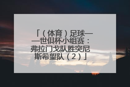 （体育）足球——世俱杯小组赛：弗拉门戈队胜突尼斯希望队（2）