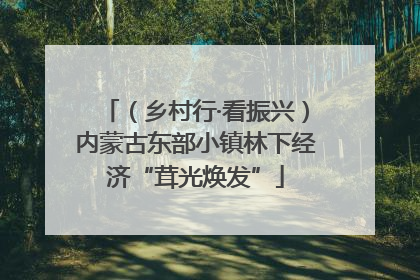 （乡村行·看振兴）内蒙古东部小镇林下经济“茸光焕发”