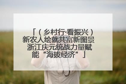 （乡村行·看振兴）新农人绘就共富新图景 浙江庆元统战力量赋能“海拔经济”