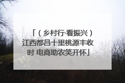 （乡村行·看振兴）江西都昌十里桃源丰收时 电商助农笑开怀