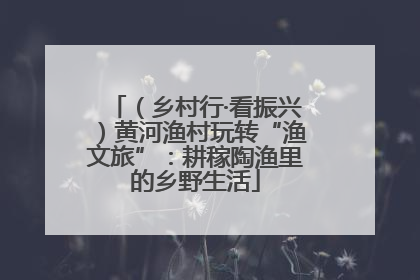 （乡村行·看振兴）黄河渔村玩转“渔文旅”：耕稼陶渔里的乡野生活