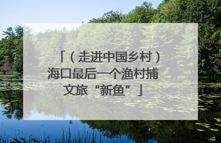 （走进中国乡村）海口最后一个渔村捕文旅“新鱼”