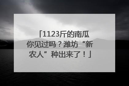1123斤的南瓜你见过吗？潍坊“新农人”种出来了！
