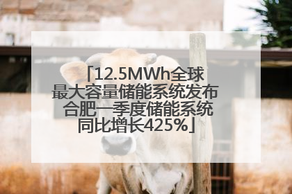 12.5MWh全球最大容量储能系统发布 合肥一季度储能系统同比增长425%
