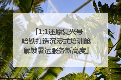 1:1还原复兴号 哈铁打造沉浸式培训舱解锁暑运服务新高度