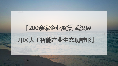 200余家企业聚集 武汉经开区人工智能产业生态现雏形