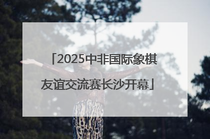2025中非国际象棋友谊交流赛长沙开幕