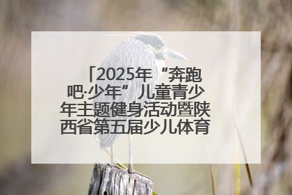 2025年“奔跑吧·少年”儿童青少年主题健身活动暨陕西省第五届少儿体育嘉年华活动启动