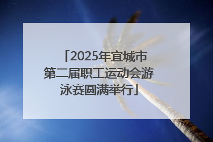 2025年宜城市第二届职工运动会游泳赛圆满举行