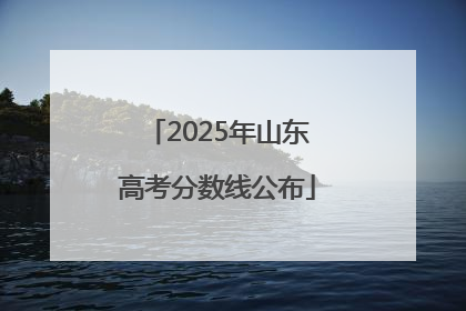 2025年山东高考分数线公布