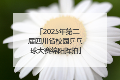 2025年第二届四川省校园乒乓球大赛绵阳挥拍