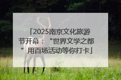 2025南京文化旅游节开幕：“世界文学之都”用百场活动等你打卡