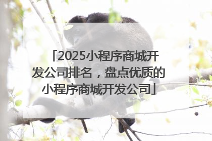 2025小程序商城开发公司排名，盘点优质的小程序商城开发公司