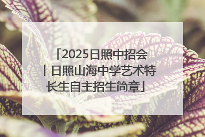 2025日照中招会丨日照山海中学艺术特长生自主招生简章