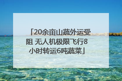 20余亩山蔬外运受阻 无人机极限飞行8小时转运6吨蔬菜