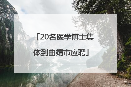 20名医学博士集体到曲靖市应聘