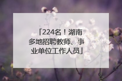 224名！湖南多地招聘教师、事业单位工作人员