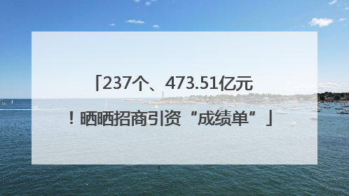237个、473.51亿元！晒晒招商引资“成绩单”