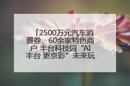 2500万元汽车消费券、60余家特色商户 丰台科技园“AI丰台 更京彩”未来玩家市集活动正式开幕