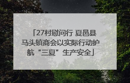 27村慰问行 夏邑县马头镇商会以实际行动护航“三夏”生产安全