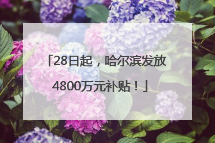 28日起，哈尔滨发放4800万元补贴！
