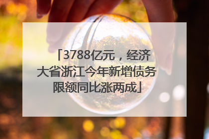 3788亿元，经济大省浙江今年新增债务限额同比涨两成