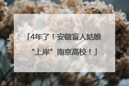 4年了！安徽盲人姑娘“上岸”南京高校！