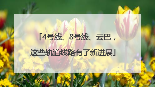 4号线、8号线、云巴，这些轨道线路有了新进展