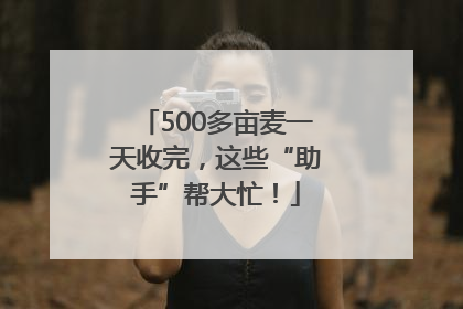 500多亩麦一天收完，这些“助手”帮大忙！