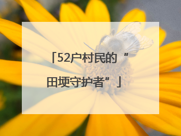 52户村民的“田埂守护者”
