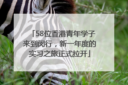 58位香港青年学子来到闵行，新一年度的实习之旅正式拉开