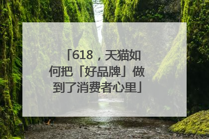 618，天猫如何把「好品牌」做到了消费者心里