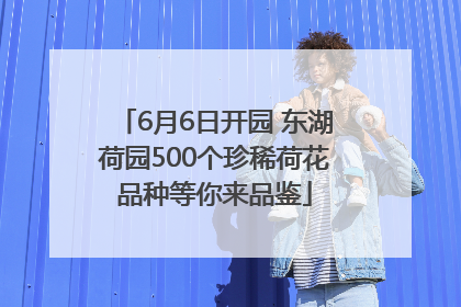 6月6日开园 东湖荷园500个珍稀荷花品种等你来品鉴