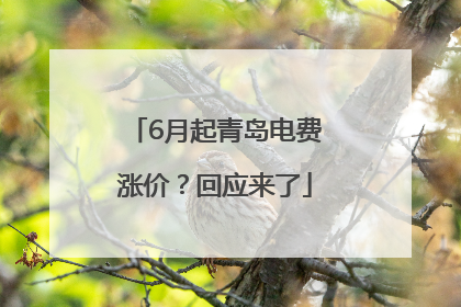 6月起青岛电费涨价？回应来了