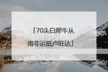 70头白犀牛从南非运抵卢旺达
