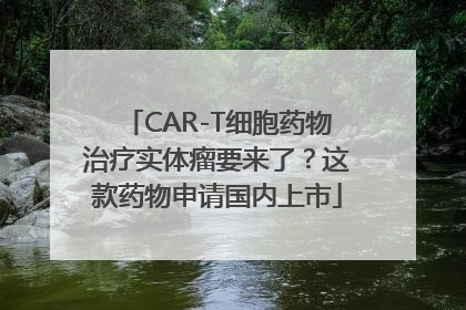 CAR-T细胞药物治疗实体瘤要来了？这款药物申请国内上市