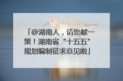 @湖南人，请您献一策！湖南省“十五五”规划编制征求意见啦