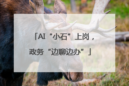 AI“小石”上岗，政务“边聊边办”