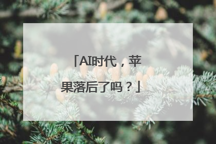AI时代，苹果落后了吗？