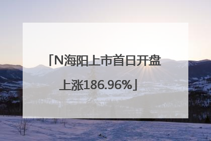 N海阳上市首日开盘上涨186.96%